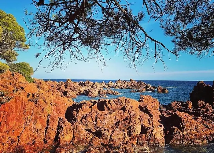 Apartament Floramarine *